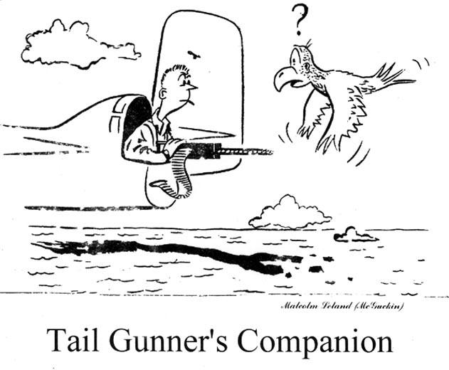 Tail Gunner's Companion